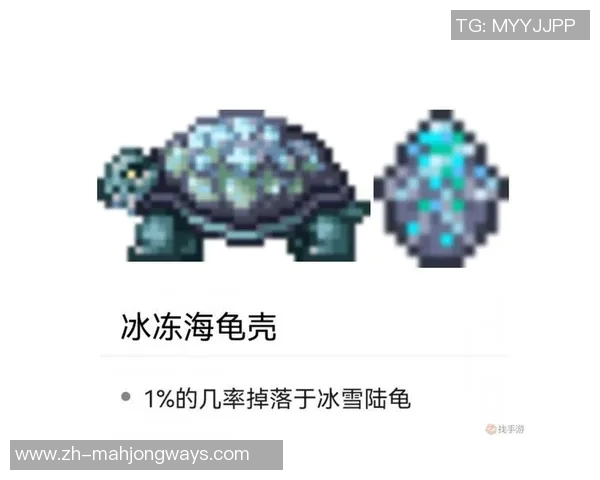 刘伟深度解析英雄联盟游戏策略与技巧分享，助你提升游戏水平与团队配合能力